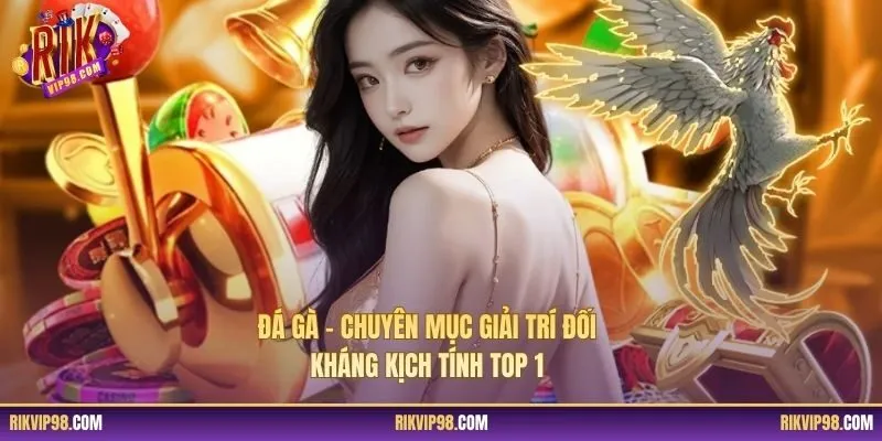 Đá Gà – Chuyên Mục Giải Trí Đối Kháng Kịch Tính Top 1