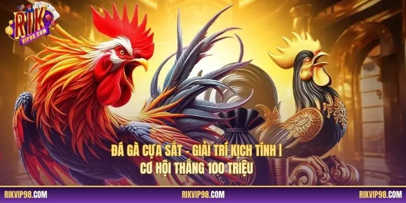 Đá Gà Cựa Sắt – Giải Trí Kịch Tính | Cơ Hội Thắng 100 Triệu