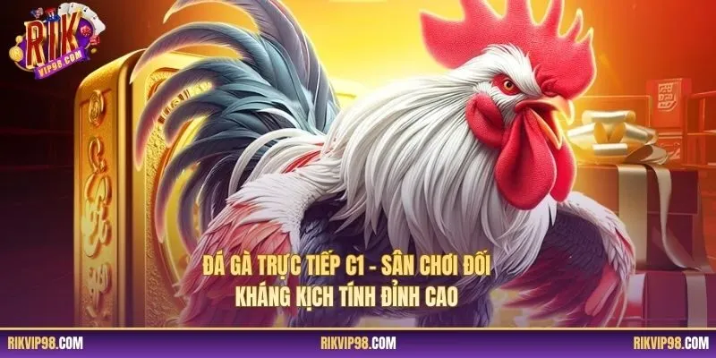 Đá Gà Trực Tiếp C1 – Sân Chơi Đối Kháng Kịch Tính Đỉnh Cao