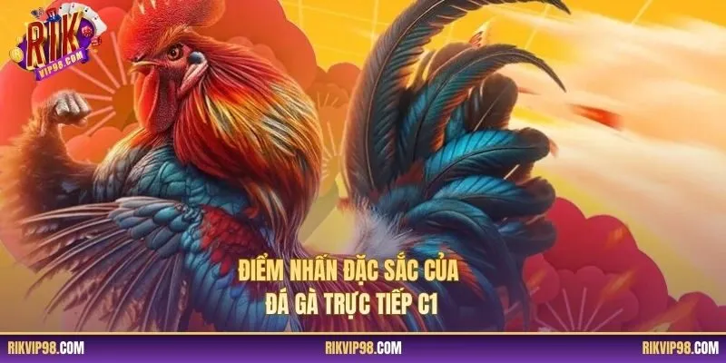 Điểm nhấn đặc sắc của đá gà trực tiếp C1