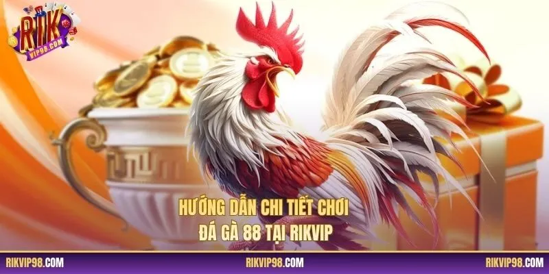Hướng dẫn chi tiết chơi đá gà 88 tại RIKVIP