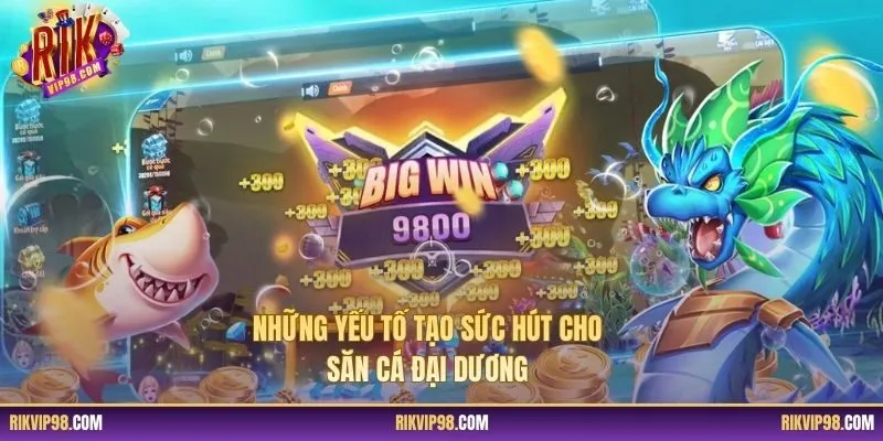 Những yếu tố tạo sức hút cho săn cá Đại Dương